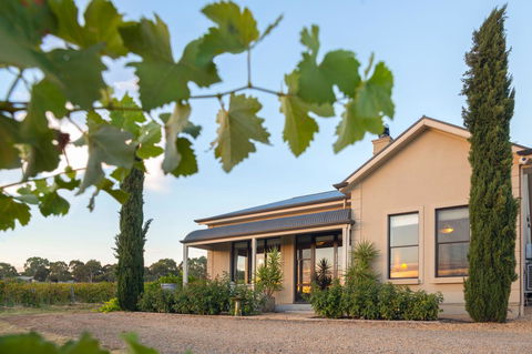 Barossa Shiraz Estate - Accommodation Australia 2