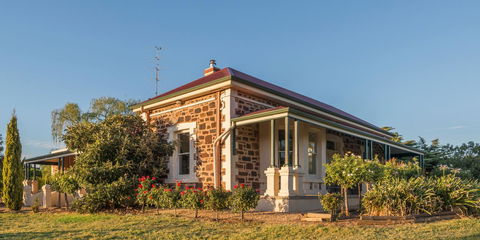 Barossa Shiraz Estate - Accommodation Australia 7