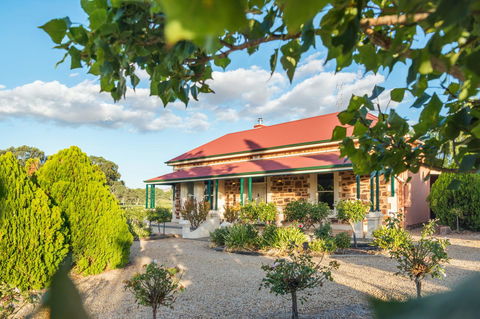 Barossa Shiraz Estate - Accommodation Australia 0