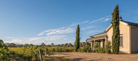 Barossa Shiraz Estate - Accommodation Australia 13
