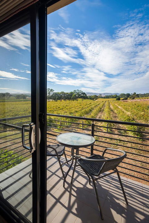 Barossa Shiraz Estate - Accommodation Australia 33