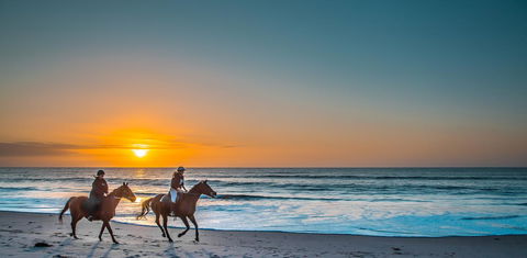 Lady Bay Hotel - Accommodation Australia 28