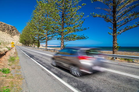 Lady Bay Hotel - Accommodation Australia 26