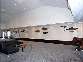 Lady Bay Hotel - Accommodation Australia 12