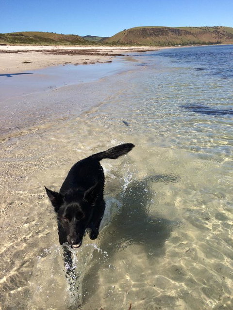 Beachside Holiday Park - Australia Shopping 17