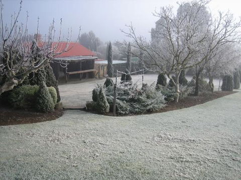 Vineyard Cottage BnB - Accommodation Australia 15