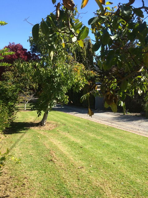 Vineyard Cottage BnB - Accommodation Australia 17