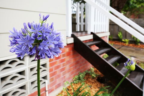 Hudson Bay @ Basin View-Pet Friendly-15 Mins To Hyams Beach - Accommodation Australia 38