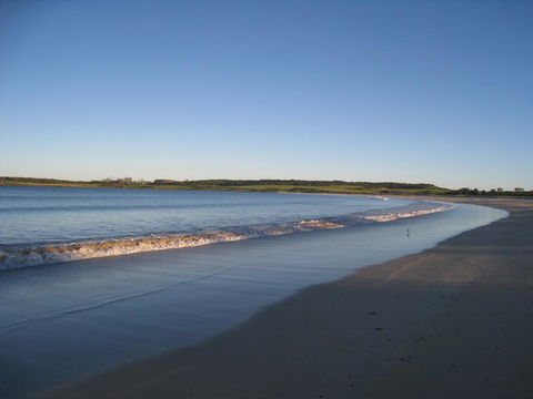 Pelicans Rest Shellharbour - Local Tourism 17