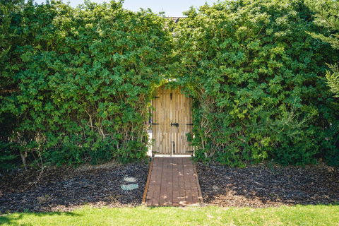 Mick O\'Sheas - Bed n Breakfasts 32