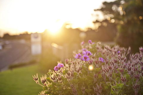 Kangaroo Island Seaside Inn - Accommodation Australia 33