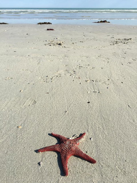 Caledonian Inn - Local Tourism 14