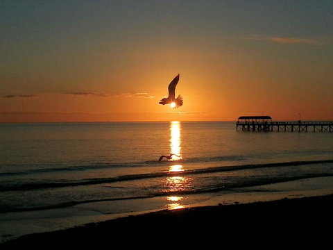 Adelaide Luxury Beach House - Accommodation Australia 37