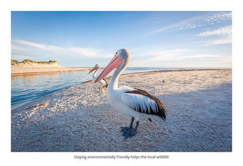 Adelaide Luxury Beach House - Accommodation Australia 25
