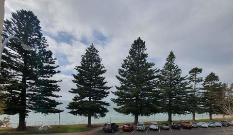 Pier Hotel Port Lincoln - Accommodation Australia 12