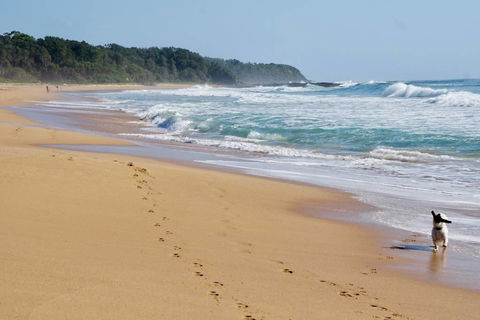 Culburra Beachhouse - Accommodation Australia 7