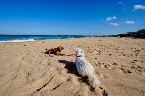 Culburra Beachhouse - Accommodation Australia 8