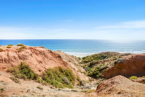 Salomon Sea Haus - Sellicks Beach - C21 SouthCoast Holidays - Accommodation Australia 1