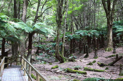 Wallace Lodge - PID-STRA-16871 - Accommodation Australia 11