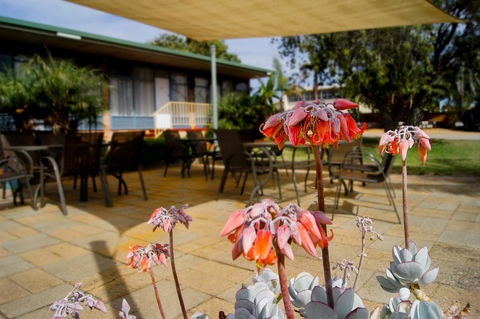 Kangaroo Island Seaview Motel - Accommodation Australia 3