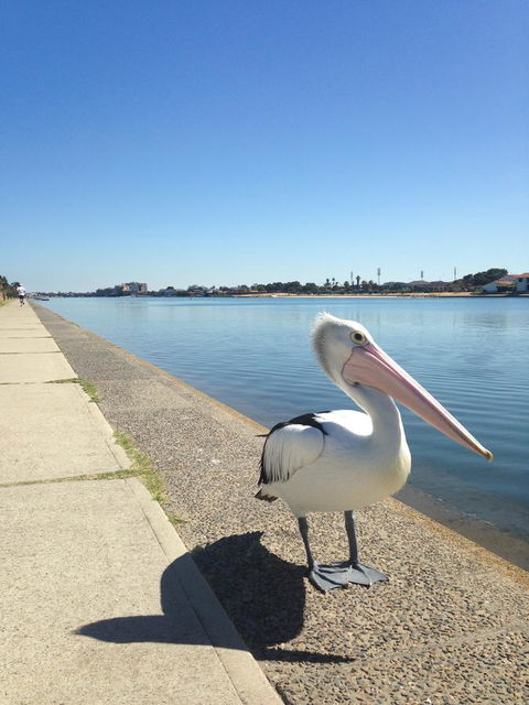 Lakeside - Local Tourism 12