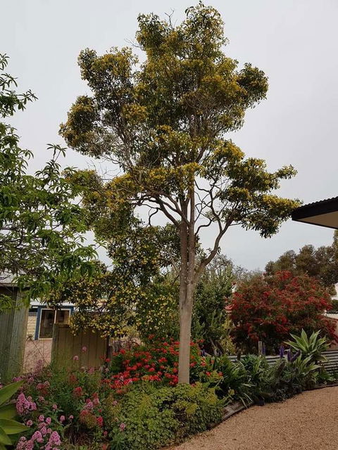 Sinclair Cottage - Accommodation Australia 25