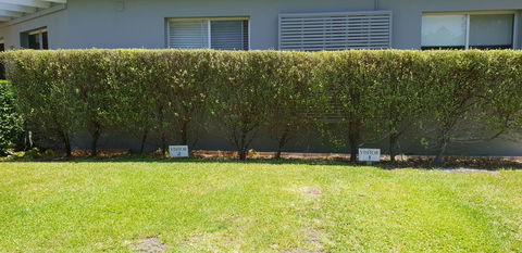 2 Austinmer Studio - Accommodation Australia 12