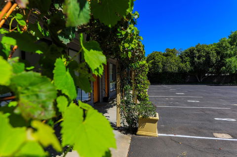 Country Roads Motor Inn Naracoorte - Accommodation Australia 16