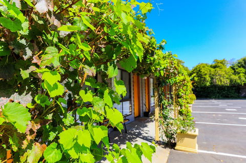 Country Roads Motor Inn Naracoorte - Accommodation Australia 18