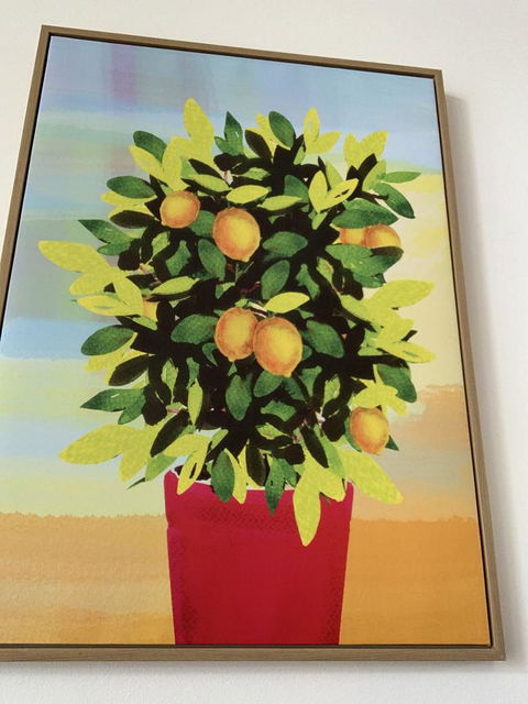 Sunshine Three - Accommodation Australia 2