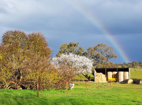 Pennys Road - Accommodation Australia 18