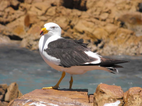 Saar River House - Australia Shopping 26