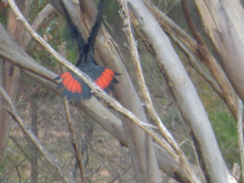 Saar River House - Australia Shopping 5