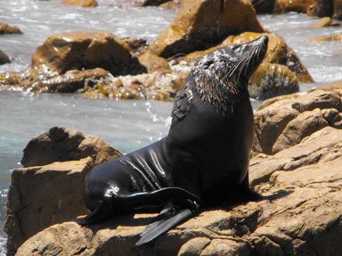 Saar River House - Australia Shopping 23