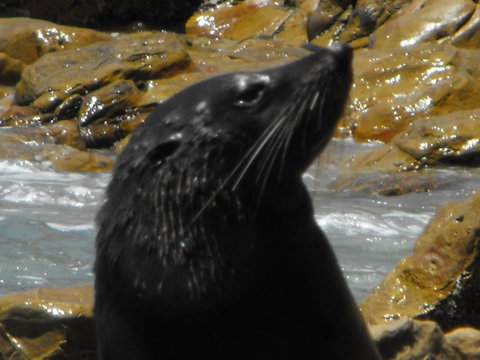 Saar River House - Australia Shopping 25