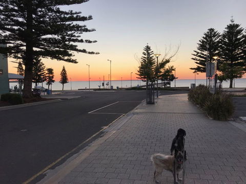 BIG4 Ceduna Tourist Park - Australia Shopping 34