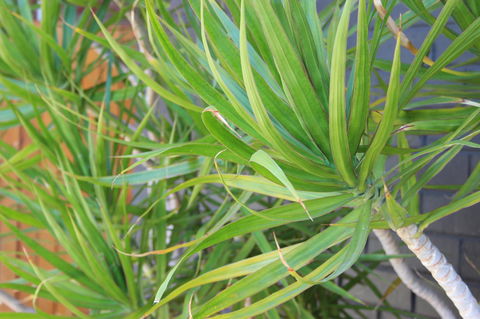 My Port Lincoln Place - Accommodation Australia 20