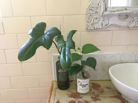 Yallaroo Cottage - Accommodation Australia 13