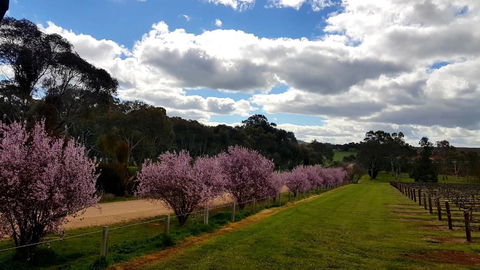 D2 At Watervale - Accommodation Australia 22