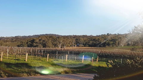 D2 At Watervale - Accommodation Australia 23