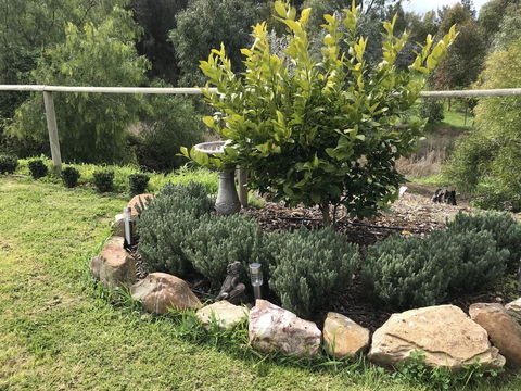 Adagio In Auburn - Local Tourism 18