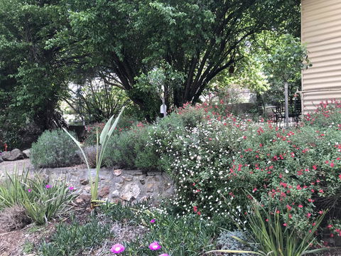 Adagio In Auburn - Local Tourism 10