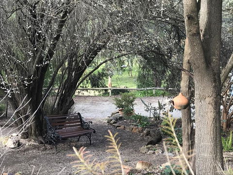 Adagio In Auburn - Local Tourism 17