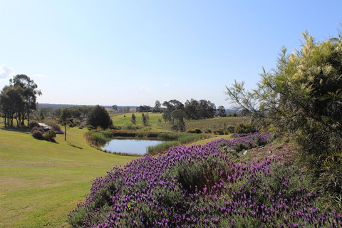 Beltana Villas - Local Tourism 7