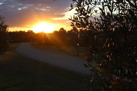 Beltana Villas - Local Tourism 26