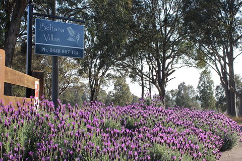 Beltana Villas - Local Tourism 10