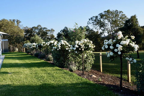 Beltana Villas - Local Tourism 2