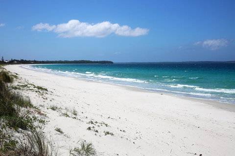 Wildwood I Pet Friendly I 5 Mins To Beach - Accommodation Australia 14