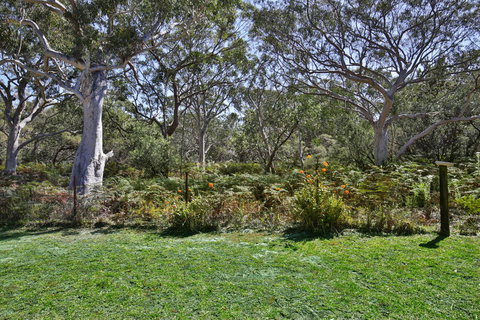 Wildwood I Pet Friendly I 5 Mins To Beach - Accommodation Australia 17
