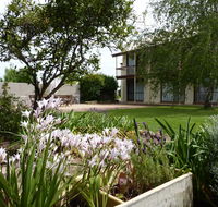 Coonawarra Motor Lodge - Local Tourism